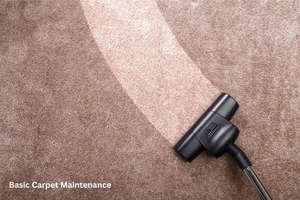 Carpet cleaning | Great Floors