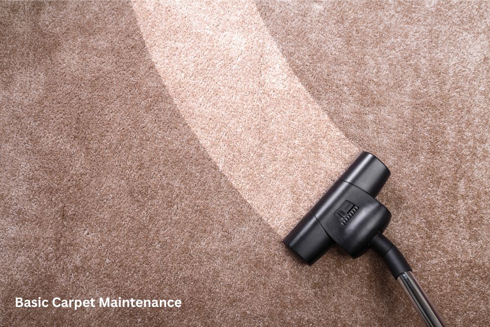 Carpet floor cleaning | Great Floors